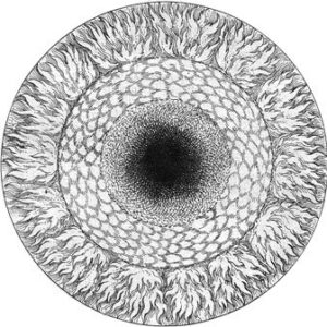 Archetypal Energy Constellations in Analysis