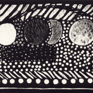 The Jungian Psyche: A Deeper Look at Analytical Psychology