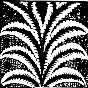 David the King: A Psychological Perspective