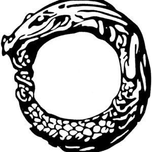 The Ring of Power: A Jungian Understanding of Wagner's Ring Cycle