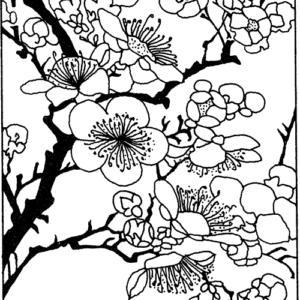 The Resilient Spirit: A Buddhist Approach to Jung's Psychology