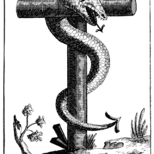 The Archetype of Sacrifice and the Regulation of Archetypal Energy