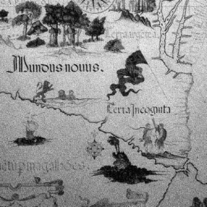 Delusions and Delusional Phenomena from a Jungian Perspective