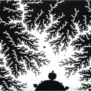 A Primer on Jungian Psychology