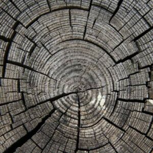 Embracing Limit: Finding the Psycho-Spiritual Center of Mid-life