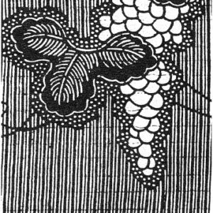 The New Myth of Meaning