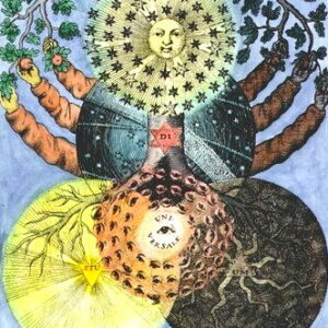 Jung & the Environment