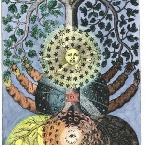 Root, Uprooting, Rootedness